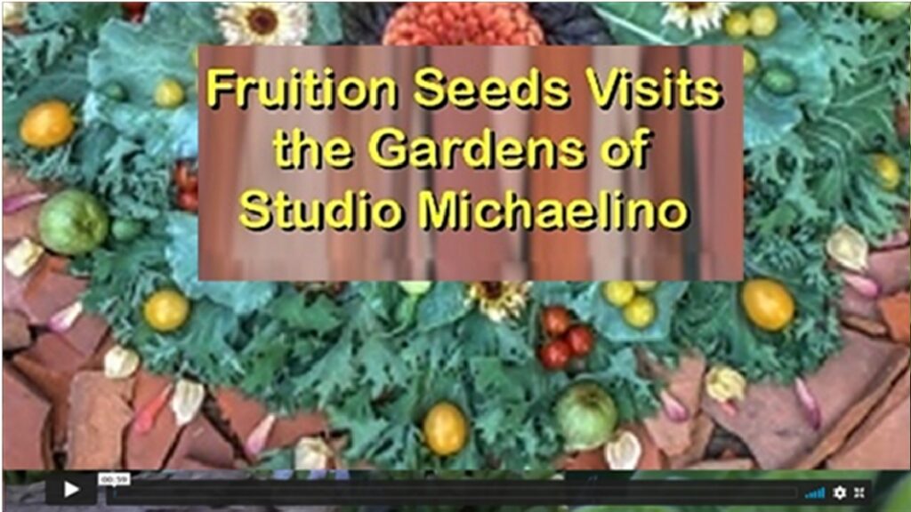 Fruition Seeds Visits the Gardens of Studio Michaelino (52 Min. )  A virtual visit to the backyard gardens and open-air studio of Studio Michaelino’s Marcia and Michael. Recorded live on August 21, 2020.  The hour is hosted by our friend Petra Page-Mann of Fruition Seeds.  We were honored to be part of Fruition’s 2020 Garden Celebration and Consultation Series.